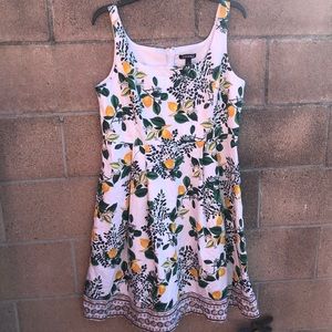 Roz & Ali Dress Sz 14 Lemons Leaves summer
